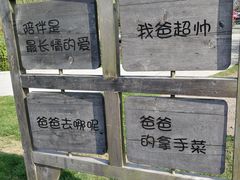 -前小桔亲子创意农场·草莓采摘·露营烧烤