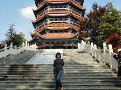 -铁山坪森林公园