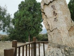 -涂山风景区