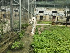 -黔灵山公园