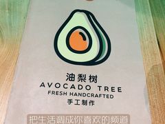 -油梨树AVOCADO TREE(望京店)