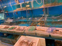 -红灯笼龙凤饭店(宁波老字号店)