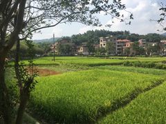 -红山村