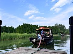 -溱湖国家湿地公园