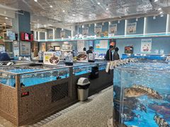 -盒马鲜生(富田新天地店)