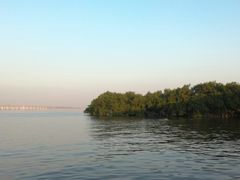 -宝安西湾红树林湿地公园