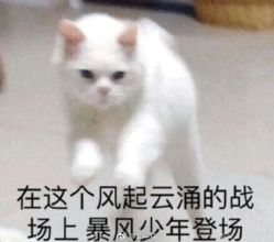 -奈瑞儿美颜美养SPA