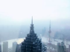 -上海柏悦酒店·世纪100牛排馆