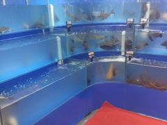 -大商超市(银岛店)