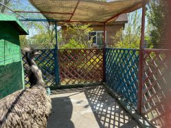 -萌宠亲子动物乐园(槐房万达店)