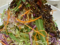 紫光拌菜-紫光园(顺义店)