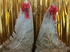 -鱼翅楼·津派砂锅鱼翅(水上公园店)