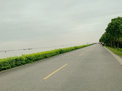 -海鸥岛
