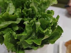 -古乐牛香·鲜牛肉牛杂火锅(吴江三里桥运东商业广场店)
