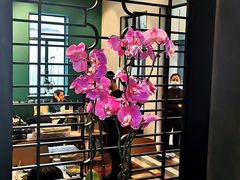 -La Maison 夜来香(进贤路店)