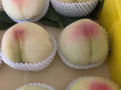 -老袁家蜜桃农场·阳山水蜜桃