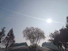 -贡湖湾湿地公园