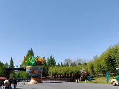 -黄海国家森林公园