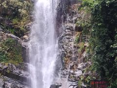 -鼎湖山风景区