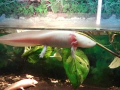 -上海大自然野生昆虫馆(东方明珠·爬宠昆虫探索中心)