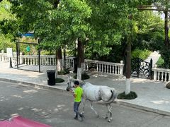 -J Create城市露营咖啡·简餐·宠物(上海动物园店)