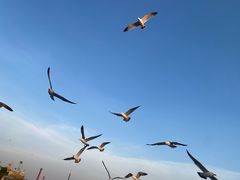 -星海广场