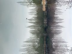 -桃花岛公园