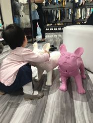 点击看大图 -布格儿童摄影(长春旗舰店)