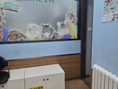 -瑞派·关忠动物医院·异宠专科·犬猫肿瘤·皮肤专科(望京店)