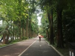-南宁南湖公园