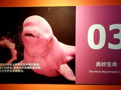 -中海环宇荟