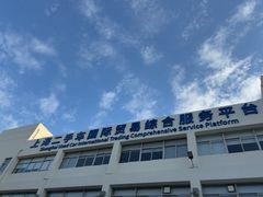 -上海外高桥汽车交易市场
