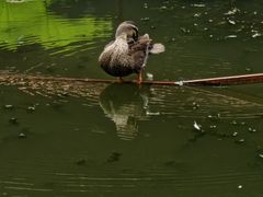 -北陵公园