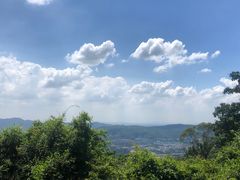 -火炉山森林公园