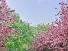 -陶然亭公园
