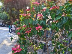 -广州市紫泥堂文化创意园景区