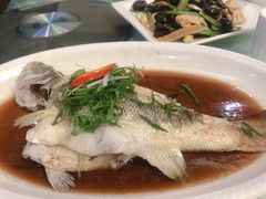 清蒸鲈鱼-御满江海鲜酒家(洛溪新城店)