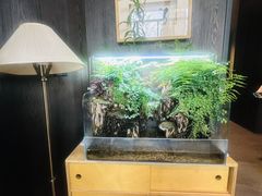 -望京辣宴·古法川菜(望京店)