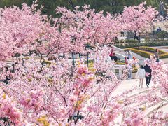 -新江湾城公园