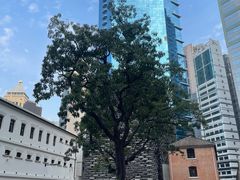 -大馆(前中区警署建築群)
