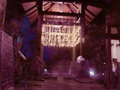 -中铁花水湾温泉酒店(大邑店)