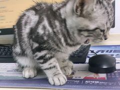 -宠颐生中康贝怡动物医院