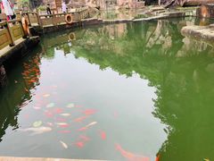 -蛇蟠岛