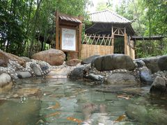 -咸宁万豪温泉谷度假区