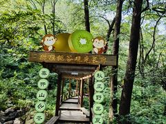 -大岭沟猕猴桃谷风景区