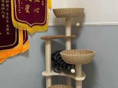 -谐和益家动物医院·免疫绝育·血液透析·宠保定点医院(高新伊藤分院)