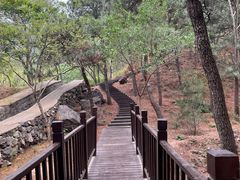 -北京十三陵国家森林公园蟒山景区