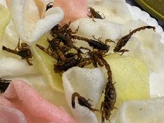 -晋阳饭庄(虎坊桥店)