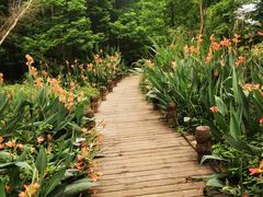 -桤木河湿地公园