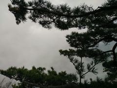 -秦岭天竺山景区
